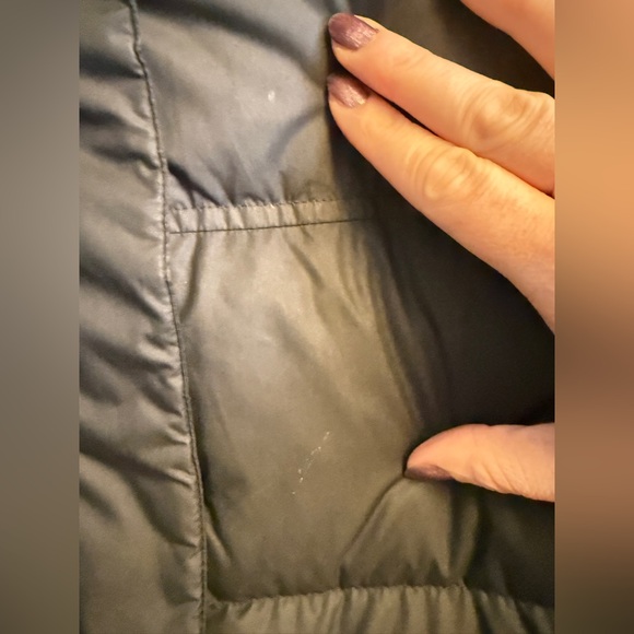 Patagonia Down Parka - Picture 3 of 11